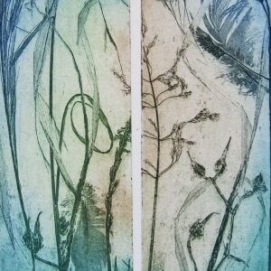 'Dawn duet' - etching