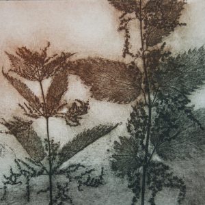 'Wild patch' - etching
