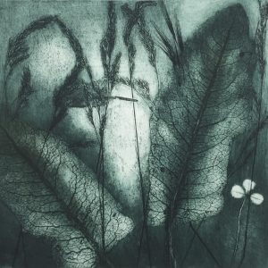 'Dark leaves' - etching